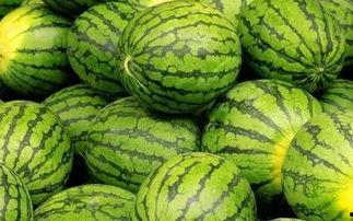 每日大赛吃瓜网入口,揭秘娱乐圈幕后风云,带你畅游八卦海洋